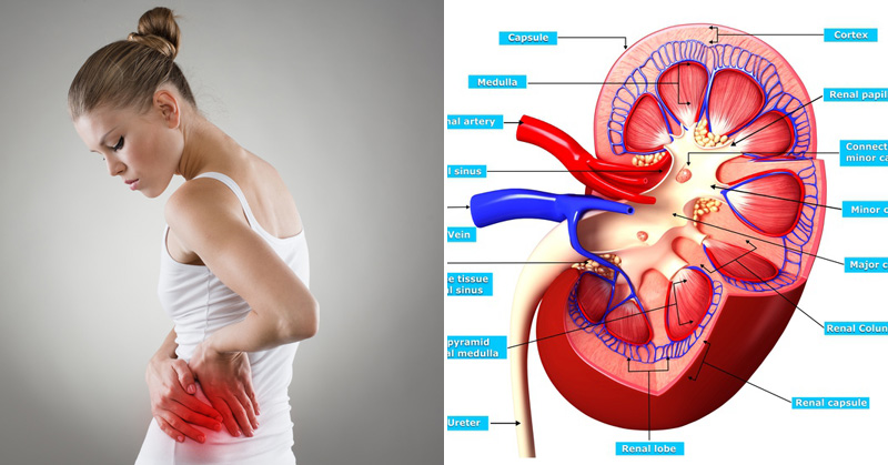 Kidney Problem Treatment